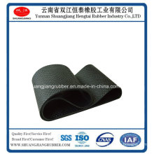 Highly Quality Endless Electronic Scale Conveyor Belt in China